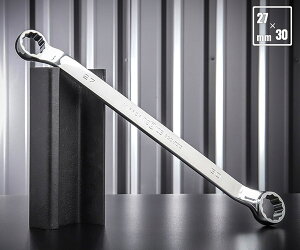 NEPROS NM5-2730 TCY27x30mm 45°×6°߂˃` lvX