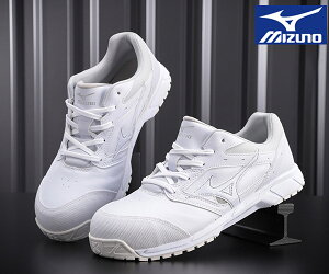 ~Ym SC CS C1GA1710 ^tɎg I[}CeB [Jbg 01 zCg R^Cv