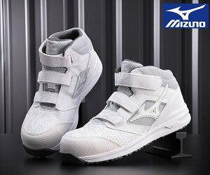 ~Ym SC LSII 21 M F1GA2200 DꂽNbV&y I[}CeB ~bhJbg 01 zCg×Vo[ E₷xg