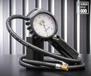 ~V ^CQ[W1000KPa WD-1999