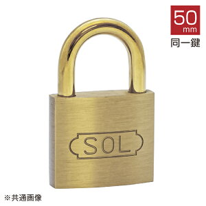 SOL �V�����_�[������No.��50mm 2500SD-50 �y�l�R�|�X�Ή��z