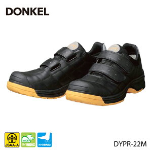 DONKEL SC DYPR-22M xg^Cv ubN _CiXeBvtFbVi hP JSAAF AlHvvXj[J[ dC