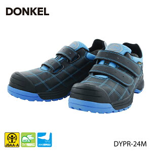 DONKEL SC DYPR-24M xg^Cv ubNxu[ _CiXeBvtFbVi hP JSAAF AlHvvXj[J[ dC