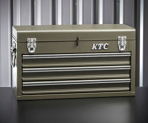 y11/1I|Cg3{{ő400~OFFzKTCH SKX0213ODEM c[`FXg I[uhu s@BHxGq}VIWii