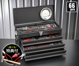 【特典付】2025SK限定カラー KTC SK36625XFB 9.5sq. 工具セット 66点 京都機械工具 SKX0223FB採用 スタンダード フラットブラック