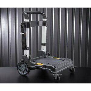 fEHg eB[X^bN reBjbg (DWST17888) TSTAKV[YA\ J[g DEWALT Ki (4536178506021)