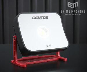 GENTOS GZ-314 GANZ Kc LED[NCg 6000lm  Ɠ WFgX LED Cg [NCg Ɠ gz-314