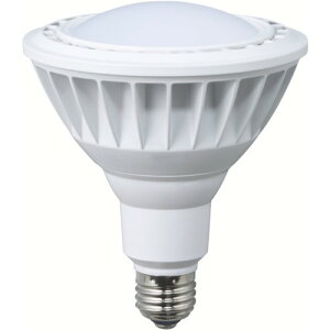 HATAYA�i�n�^���j LED��Ɠ� 20W�����������F�L�p�^�C�v