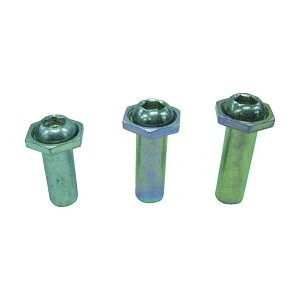 uebNX CNSH1013P pbNSTbNXeB[ 10-13 (10{) Gr LOBSTER uX^[ GrH LOBTEX