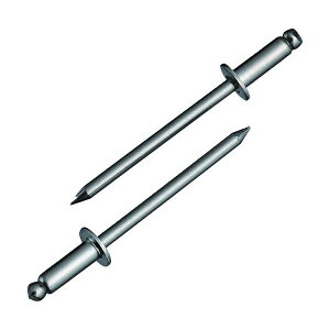 uebNX NST44 uChxbg XeX^XeX 4-4 (1000{) Gr LOBSTER uX^[ GrH LOBTEX