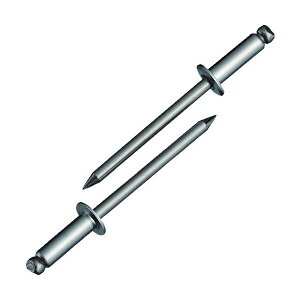 uebNX NST56 uChxbg XeX^XeX 5-6 (1000{) Gr LOBSTER uX^[ GrH LOBTEX