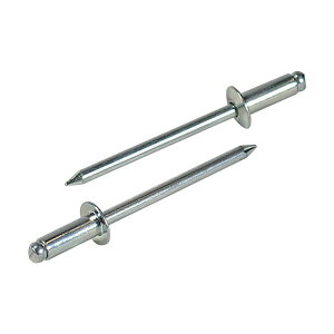 uebNX NS62EB uChxbg XeB[^XeB[ (150{) Gr LOBSTER uX^[ GrH LOBTEX