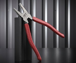 uebNX J200P y`(Obv) Gr LOBSTER uX^[ GrH LOBTEX