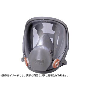 3M X[G hŃ}XNSʌ`ʑ 6000F LTCY