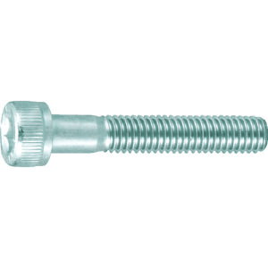 TRUSCO Zpt{gON[g  lWM12X60 2{ B7301260 gXRR