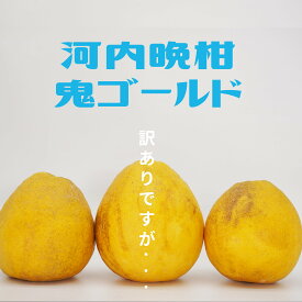 1000円offクーポンあり　鬼ゴールド 10kg　家庭用　現在発送中　箱パンパン　夏文旦　河内晩柑 みかん 愛媛ミカン ジューシーオレンジ 愛南ゴールド 宇和ゴールド 愛媛県産 愛媛 ミカン 北海道　沖縄は700円追加
