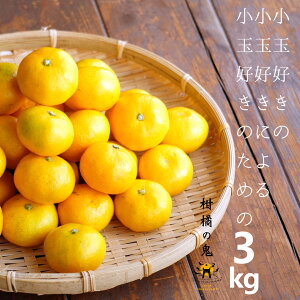 小玉みかん3kg　小玉好きのために 　4Sから2Sまで小玉　3kg　愛媛県産　みかん　小玉みかん　3kg　北海道、沖縄は