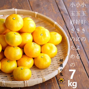 ���Q���Y�@���ʂ݂���@7kg�@2s����4s�݂̂���ł��@�����Ȃ����ȉƒ�p�@����A�k�C���͕ʓr700�~���Ւv���܂�