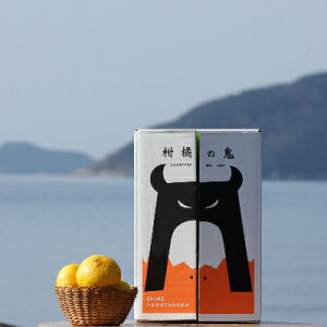 【予約商品】媛小春6kg 2026年2月中旬より発送 家庭用  北海道、沖縄は700円追加料金いただきます 媛小春 愛媛県産 八幡浜産