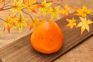 ƒp@xm`@5.5kg @kCA600~ǉ