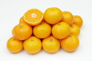 �_��s�g�p�݂���6kg�@�k�C���A����^���ʓr1200�~�ǉ��@���Q���Y�@�L�@�͔|�@���_��@�I�[�K�j�b�N�@���R�͔|