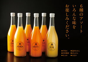 䒆@720mlr@6A\[g݂W[XZbg