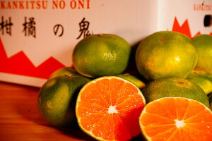 秀品 極早生みかん3kg 北海道、沖縄向けは700円追加になります/みかん/極早生みかん/八幡浜/ 柑橘の鬼/ミカン/日南/愛媛県産