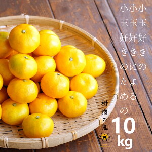 ʂ݂10kg@ʍD̂߂ @4S2S܂ŏʁ@10kg@QY@݂@ʂ݂