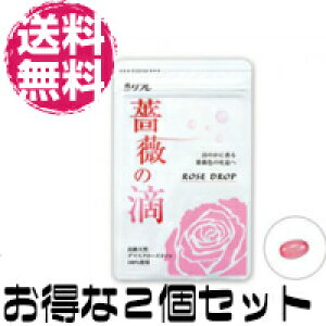 y[֑zKN̓H2Zbg ΂̂ 62(1)y_}XN[YIC/[YTv/KNTvg o [Y Tvg z