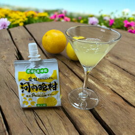 飲むぷれみあむゼリー 河内晩柑 180g 30本入り かわちばんかん お土産 愛媛県産 ジュレ　送料無料 愛工房 【Made in Ehime 愛工房】