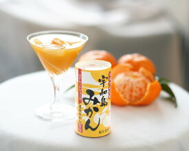 宇和島みかん 1ケース 送料無料 愛工房 みかんジュース 紙パック(カートカン)【Made in Ehime 愛工房】