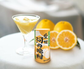 愛媛河内晩柑 1ケース 送料無料 愛工房 みかんジュース 紙パック(カートカン)【Made in Ehime 愛工房】