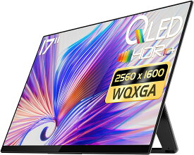 【5000円OFFクーポン】EHOMEWEI モバイルモニター 17インチ WQXGA 2560x1600 QLED 100% DCI-P3 薄型 4mm ゲーミング モニター スピーカー内蔵 ブルーライトカット ケース付 「メーカー保証3年間」RQ-170NW（旧型番E170NSR）（タッチパネル非対応）