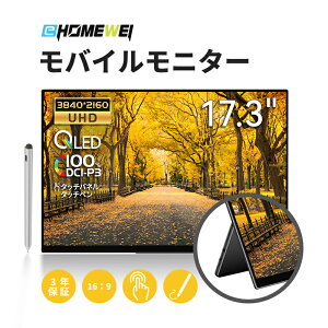 【10/24 20時~ポイント10倍】EHOMEWEI モバイルモニター モバイルディスプレイ 17.3インチ 60Hz QLED 4K 3840x2160 タッチペン対応 【Windows/MacOS】タッチパネル 100%DCI-P3 薄型 5mm 軽量 保護フィルム ケース