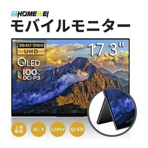 EHOMEWEI ���o�C�����j�^�[ 17.3�C���` 120Hz QLED 4K 3840x2160 switch�Ή� �^�b�`�y���Ή� �yWindows/MacOS�z�^�b�`�p�l�� 100%DCI-P3 ���^ 6mm �y�� �ی�t�B���� �P�[�X�t 3�N�ۏ� RQG-173PU /RQG-173NU