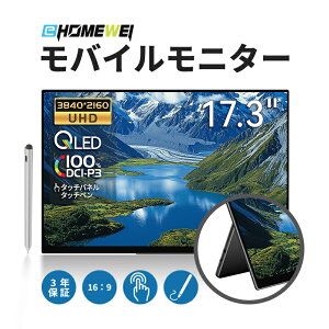 EHOMEWEI oCj^[ 17.3C` 120Hz QLED 4K 3840x2160 switch2Ή ^b`yΉ yWindows/MacOSz^b`pl 100%DCI-P3 ^ 6mm y یtB P[Xt 3Nۏ RQG-173PU (^b`plΉ)