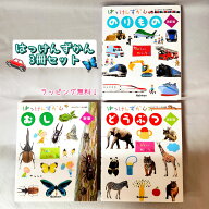 即日発送【送料込】 はっけんずかん 3冊 セット むし どうぶつ のりもの 新版 学研 プラス 図鑑 セット …