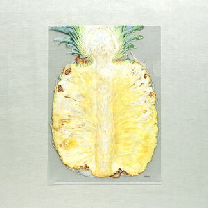 r^I NAt@C A4 pCibviG{irIWiObYj G{ ObY t@C [ IWi 