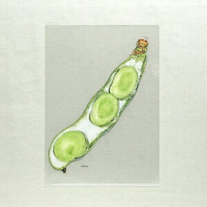 r^I NAt@C A4 \}iG{irIWiObYj G{ ObY t@C [ IWi 