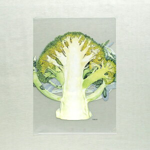 r^I NAt@C A4 ubR[iG{irIWiObYj G{ ObY t@C [ IWi 