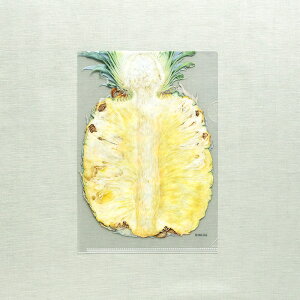 r^I NAt@C A5 pCibviG{irIWiObYj G{ ObY t@C [ IWi 