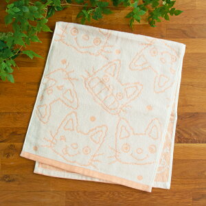 m^ ӂӂm^ tFCX^I LmT`R L cat ^I @ 킢 ObY