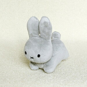 u[it@~[ iO[j ʂSS G{ ObY u[i 킢 ~btB[ DF