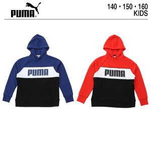 v[} LbY p[J[ uh  H~y PUMA  ALPHA t[fB[ z q WjA 140 150 160 EChEFA w q j̎q ̎q X|[cEFA X|[c X|[cu