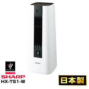 V[v(SHARP) vY}NX^[7000ڐlZT[tZ~bNt@q[^[HX-TS1-WW(zCgn)
