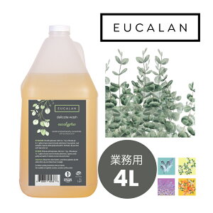 y[JyVz [J̍ |vtiTCY4LA760gjsv IV jbg WF[ ɗD e lߑւ EUCALAN eucalyptus