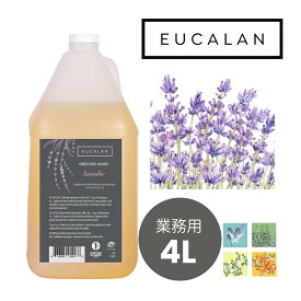 【ユーカラン公式】洗濯洗剤 ラベンダーの香り ポンプ付き（サイズ4L、760回使える）すすぎ不要 オシャレ着洗剤 ニット ランジェリー 環境に優しい 大容量 詰め替え EUCALAN lavender