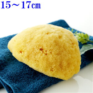 CȃX|W2^CvAIтƂĂ_炩^Cv{fBPA {fB tbg}bT[Wq ɂ₳ō VN튣Œ14`17Z`Ŗc݂܂C