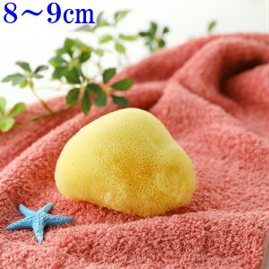 CȃX|W NWOq ʔ RCN ϗƂԂVRX|Wō VN튣Œ7`9cm4gȏ 1Ŗc݂܂SSTCY