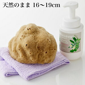 VRCȃX|W{fBPA tbg}bT[W₳̉Ƃ܂_炩X|WVRX|Wō VNL15`18cmŖc݂܂i`FL